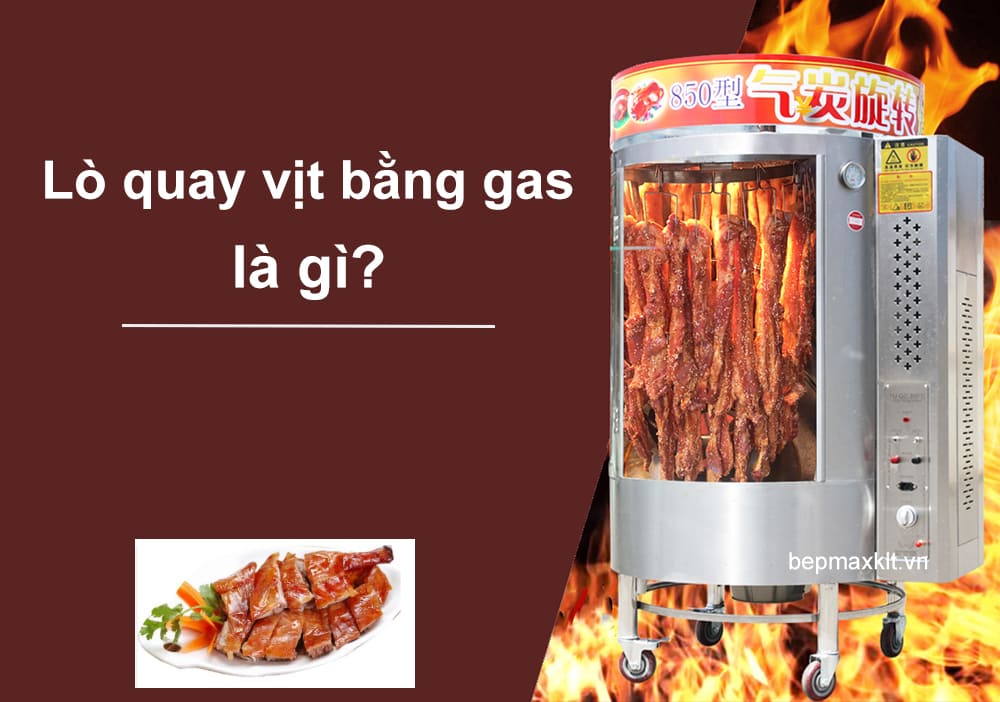 Lò quay vịt bằng gas sử dụng nguồn nhiên liệu phổ biến