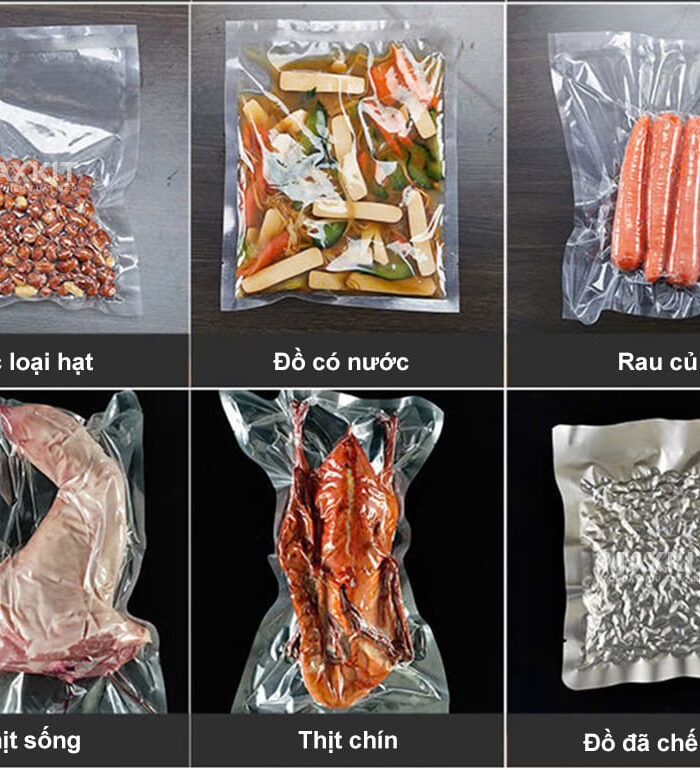 Máy hút chân không DZ260 7 May hut chan khong DZ260 5