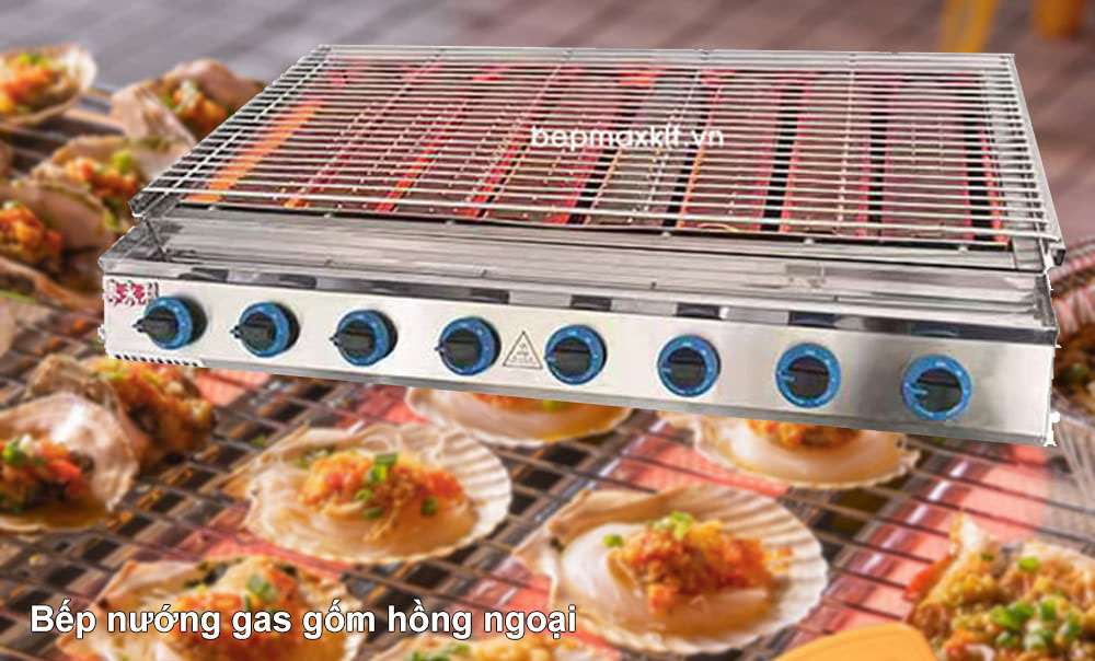 Nuong do an bang bep ga co doc khong 3